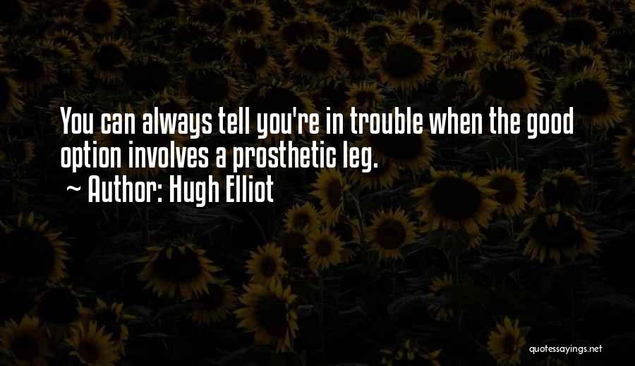 Prosthetics Quotes By Hugh Elliot