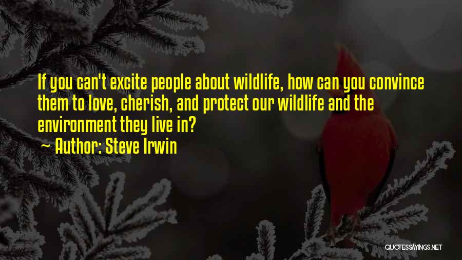 Protect Environment Quotes By Steve Irwin