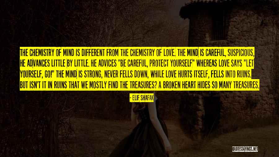 Protect Heart Quotes By Elif Shafak Protect Heart Quotes By Elif Shafak