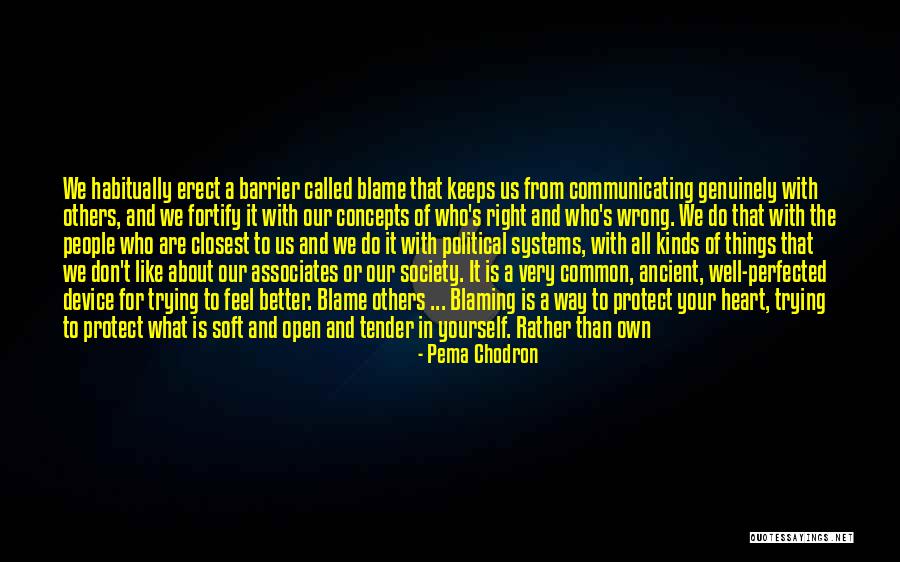 Protect Heart Quotes By Pema Chodron