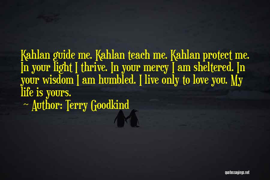 Protect Me Love Quotes By Terry Goodkind