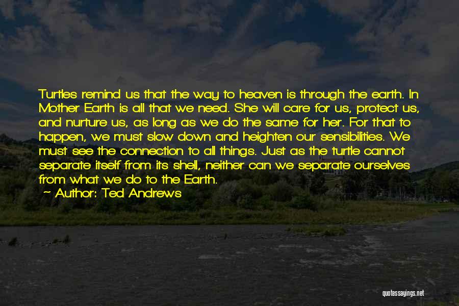 Protect Mother Earth Quotes By Ted Andrews