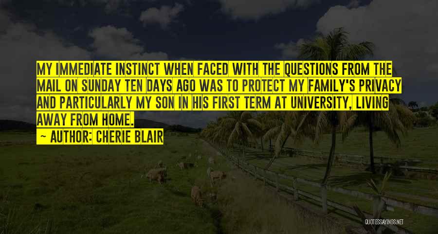 Protect My Family Quotes By Cherie Blair