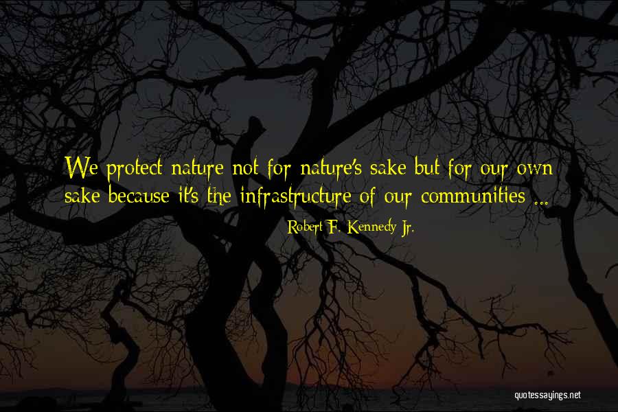 Protect Nature Quotes By Robert F. Kennedy Jr.