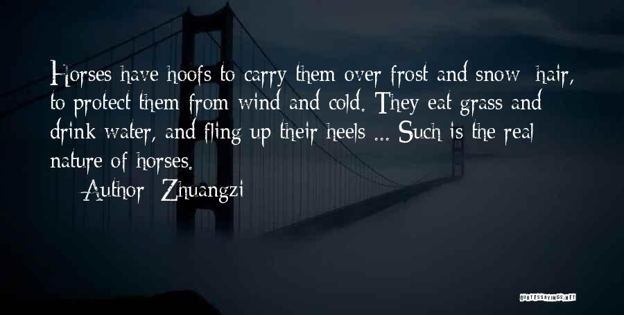 Protect Nature Quotes By Zhuangzi