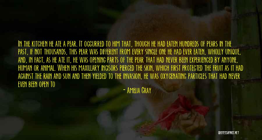 Protected Animal Quotes By Amelia Gray Protected Animal Quotes By Amelia Gray
