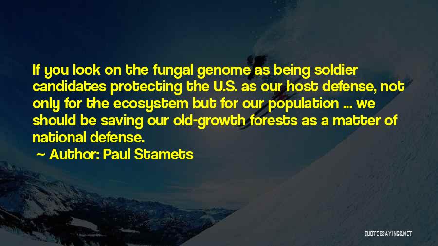 Protecting Forests Quotes By Paul Stamets