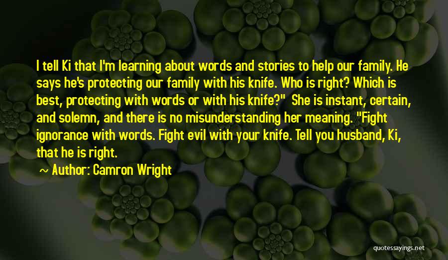 Protecting My Family Quotes By Camron Wright