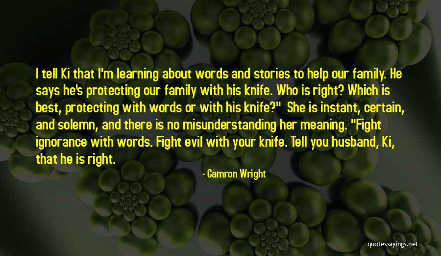 Protecting My Family Quotes By Camron Wright