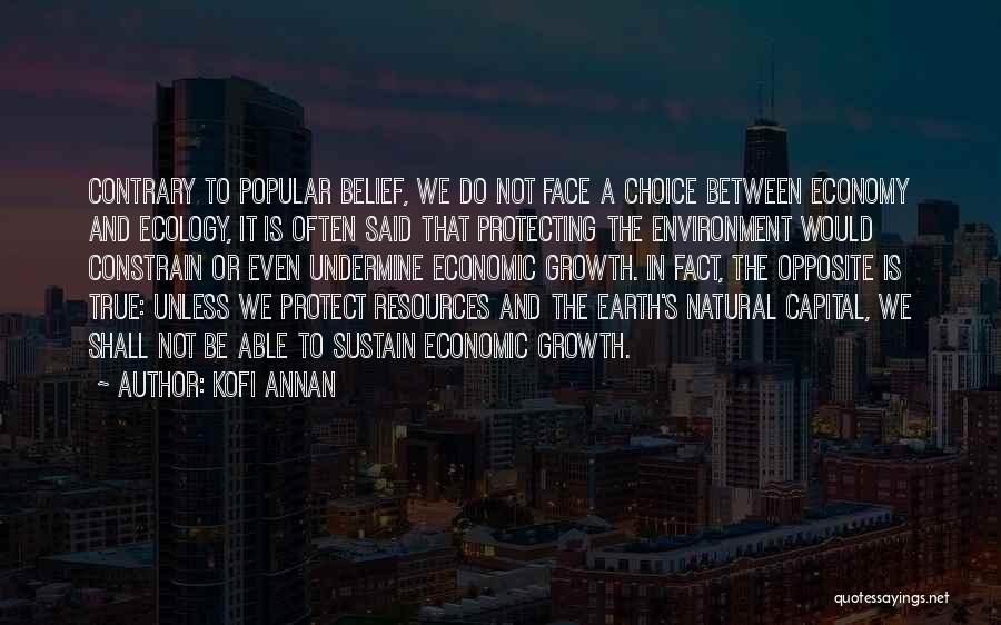 Protecting The Earth Quotes By Kofi Annan