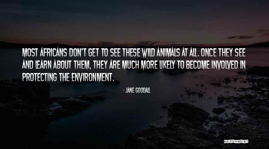 Protecting The Environment Quotes By Jane Goodall