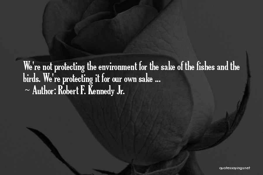 Protecting The Environment Quotes By Robert F. Kennedy Jr.