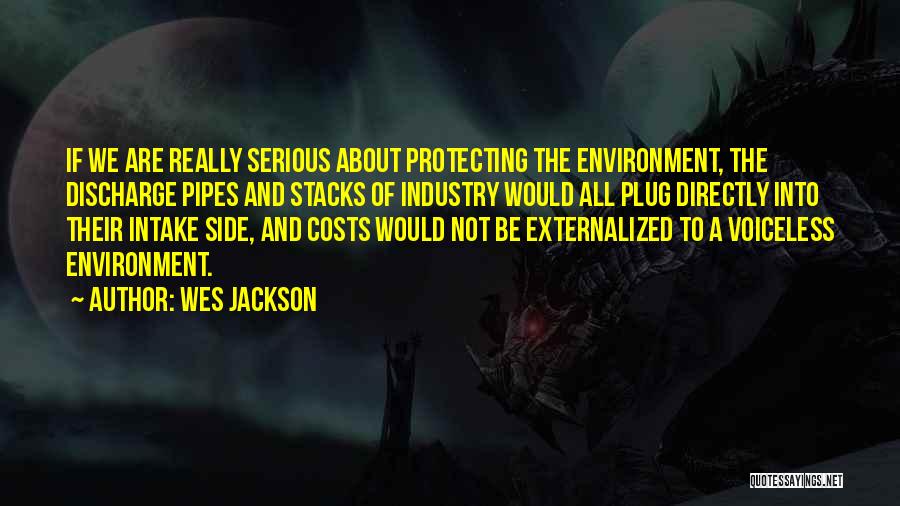 Protecting The Environment Quotes By Wes Jackson