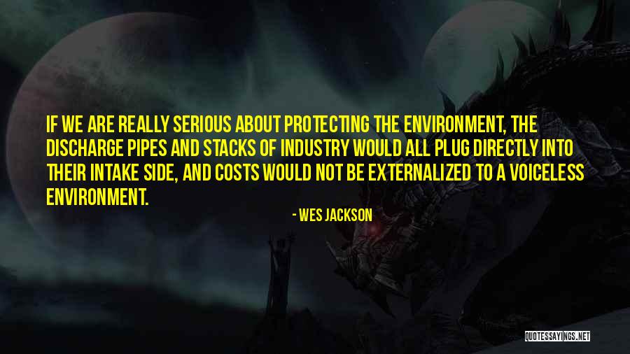 Protecting The Environment Quotes By Wes Jackson