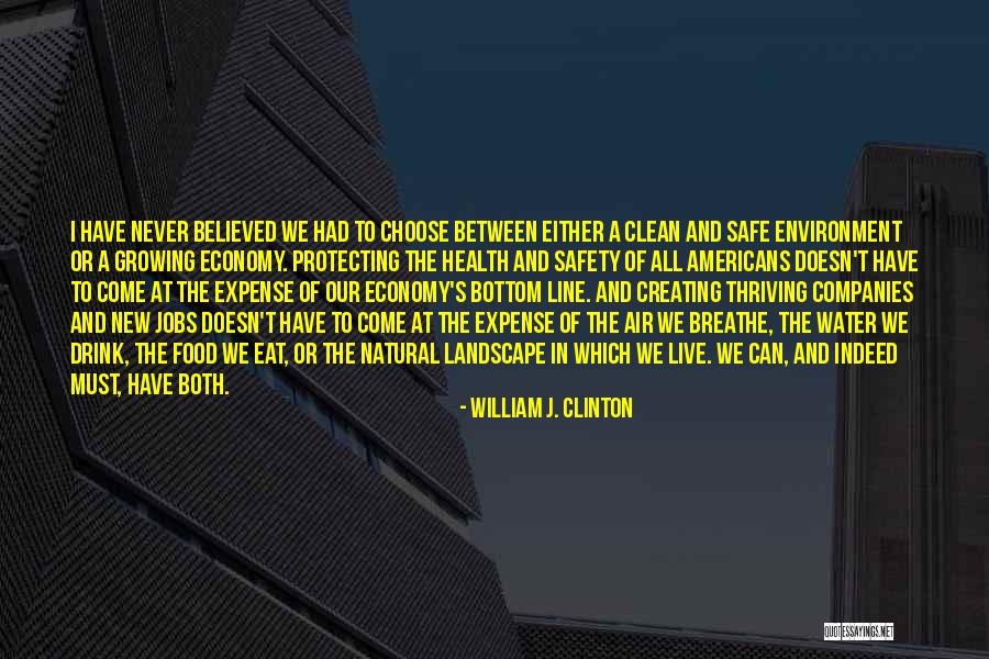 Protecting The Environment Quotes By William J. Clinton