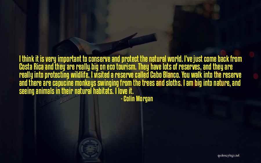 Protecting The World Quotes By Colin Morgan