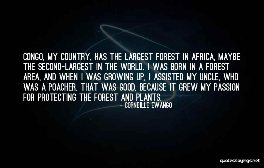 Protecting The World Quotes By Corneille Ewango