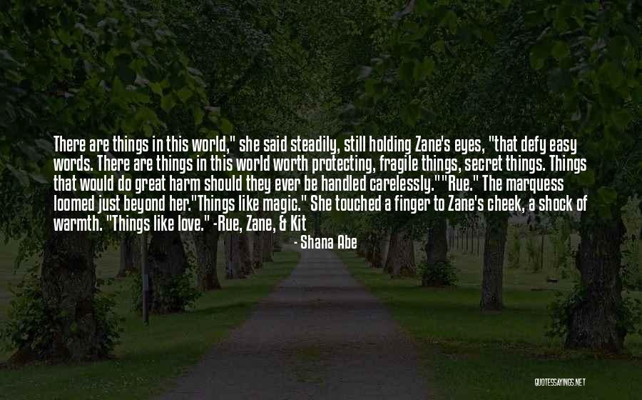 Protecting The World Quotes By Shana Abe