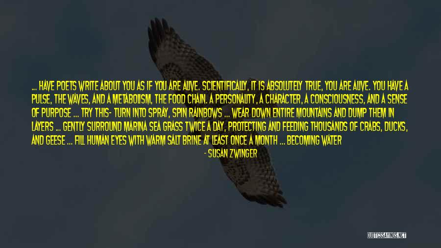 Protecting Your Life Quotes By Susan Zwinger