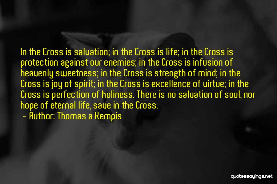 Protection From Enemies Quotes By Thomas A Kempis