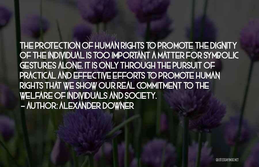 Protection Of Rights Quotes By Alexander Downer