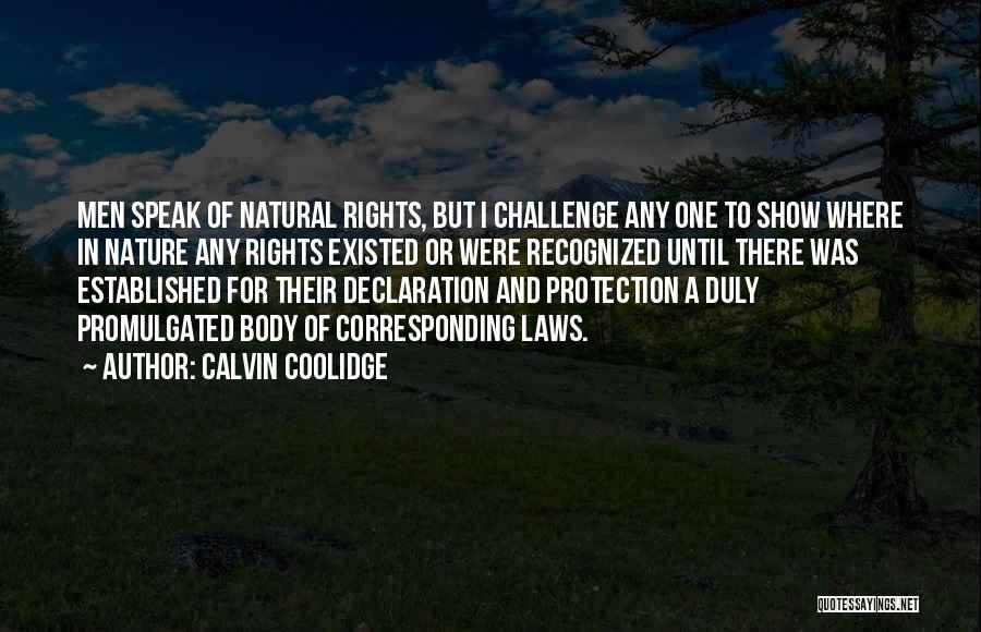 Protection Of Rights Quotes By Calvin Coolidge