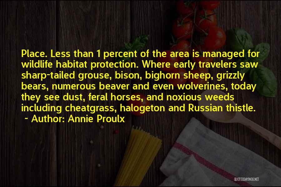 Protection Of Wildlife Quotes By Annie Proulx