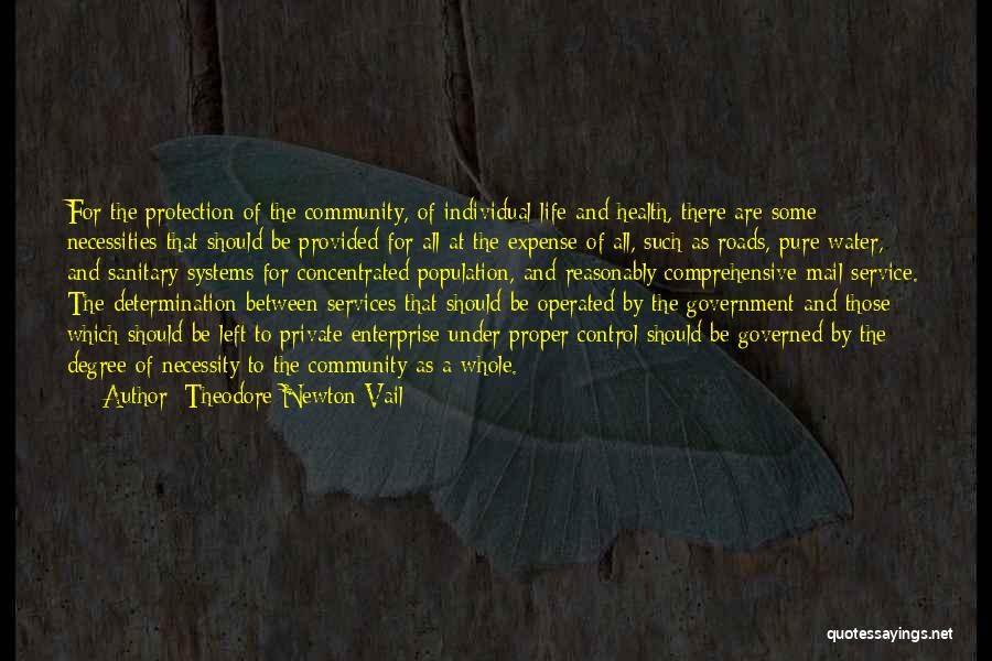 Protection Quotes By Theodore Newton Vail