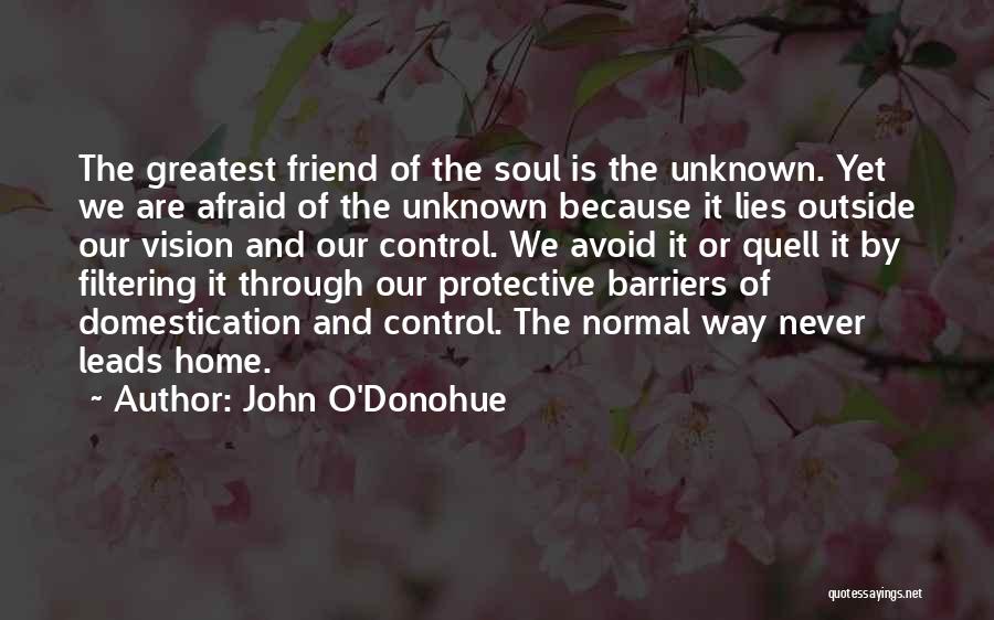 Protective Best Friend Quotes By John O'Donohue