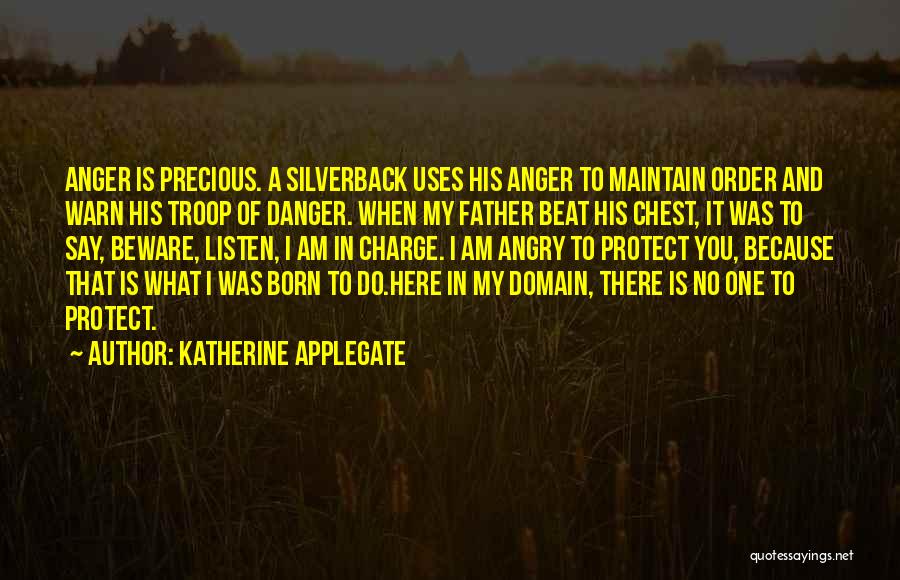 Protectiveness Quotes By Katherine Applegate