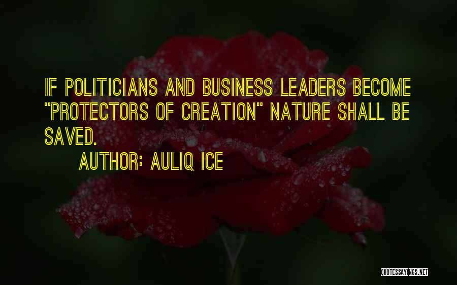 Protectors Quotes By Auliq Ice