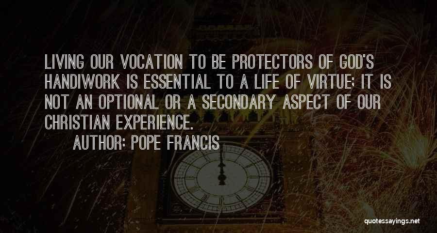 Protectors Quotes By Pope Francis