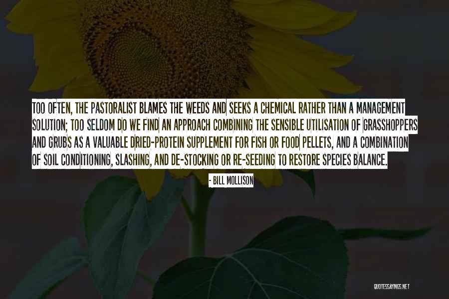 Protein Supplement Quotes By Bill Mollison Protein Supplement Quotes By Bill Mollison