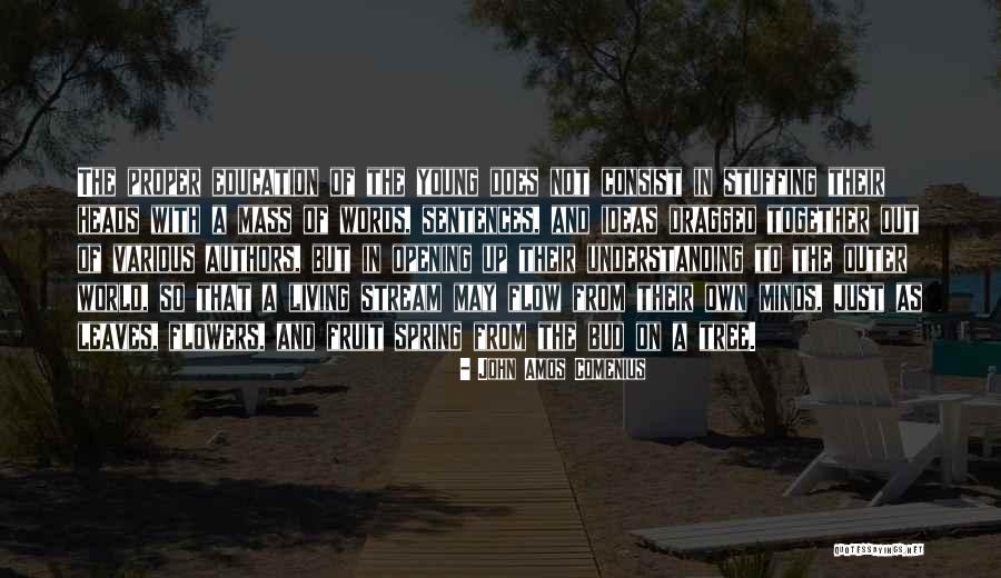 Protendere Significato Quotes By John Amos Comenius Protendere Significato Quotes By John Amos Comenius