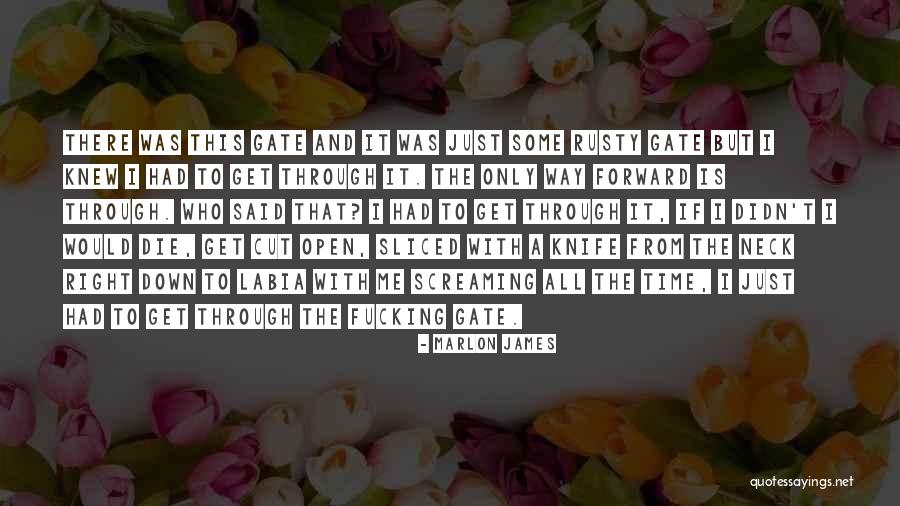 Protestar Conjugation Quotes By Marlon James Protestar Conjugation Quotes By Marlon James