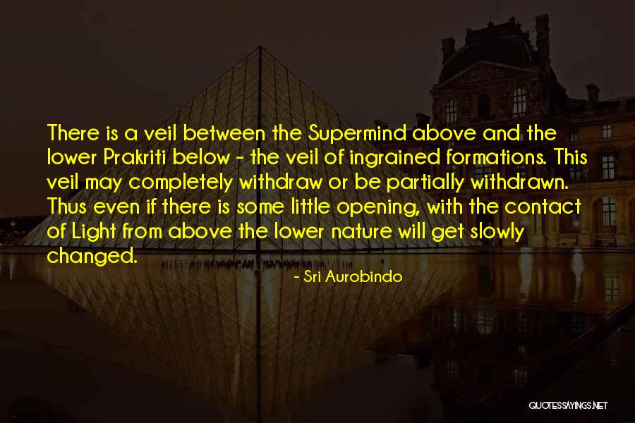 Protestar Conjugation Quotes By Sri Aurobindo Protestar Conjugation Quotes By Sri Aurobindo