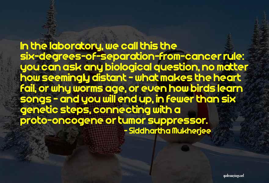 Proto-globalization Quotes By Siddhartha Mukherjee Proto-globalization Quotes By Siddhartha Mukherjee