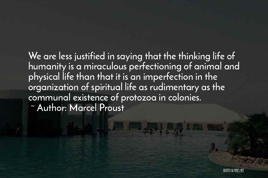 Protozoa Quotes By Marcel Proust