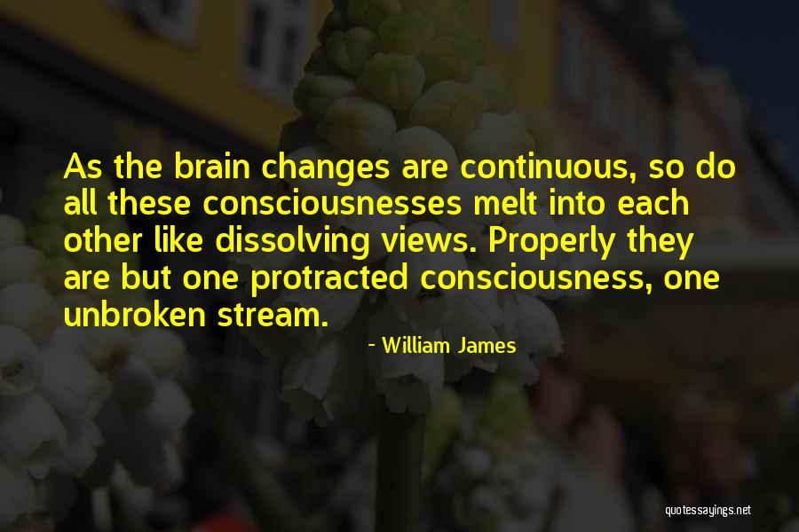Protracted Quotes By William James Protracted Quotes By William James