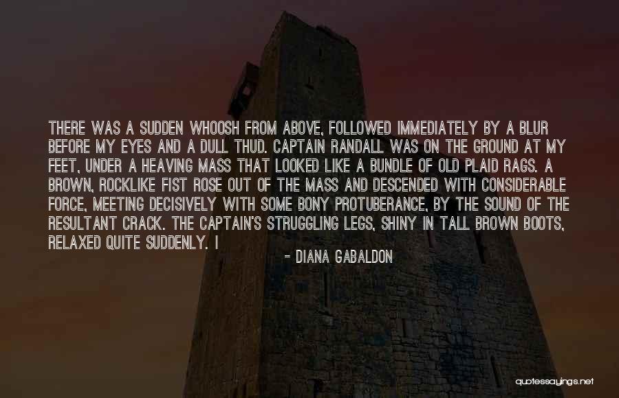 Protuberance Quotes By Diana Gabaldon