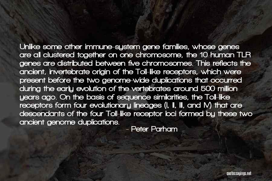 Protuberant Stomach Quotes By Peter Parham Protuberant Stomach Quotes By Peter Parham