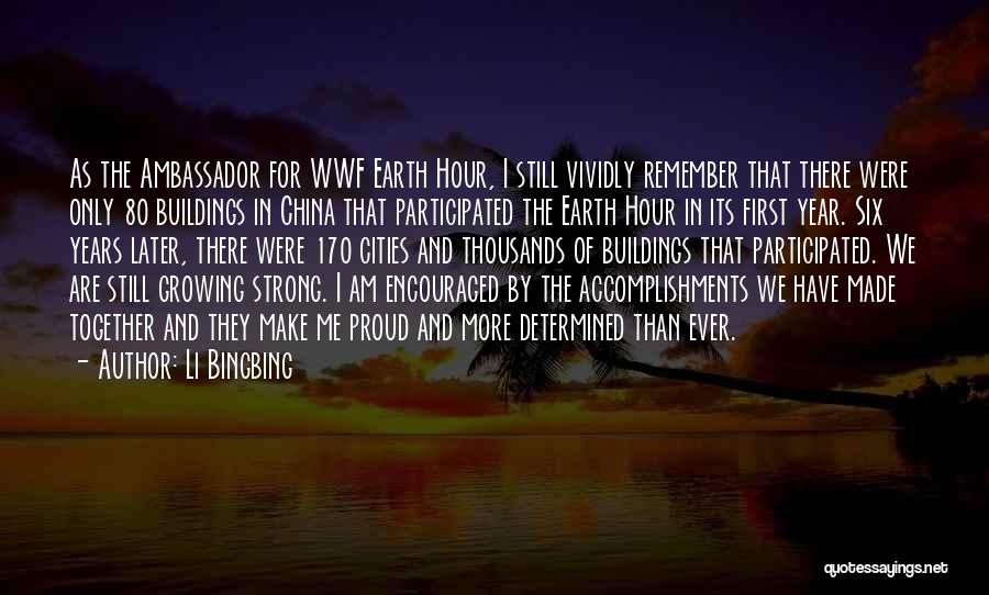 Proud Of Accomplishments Quotes By Li Bingbing