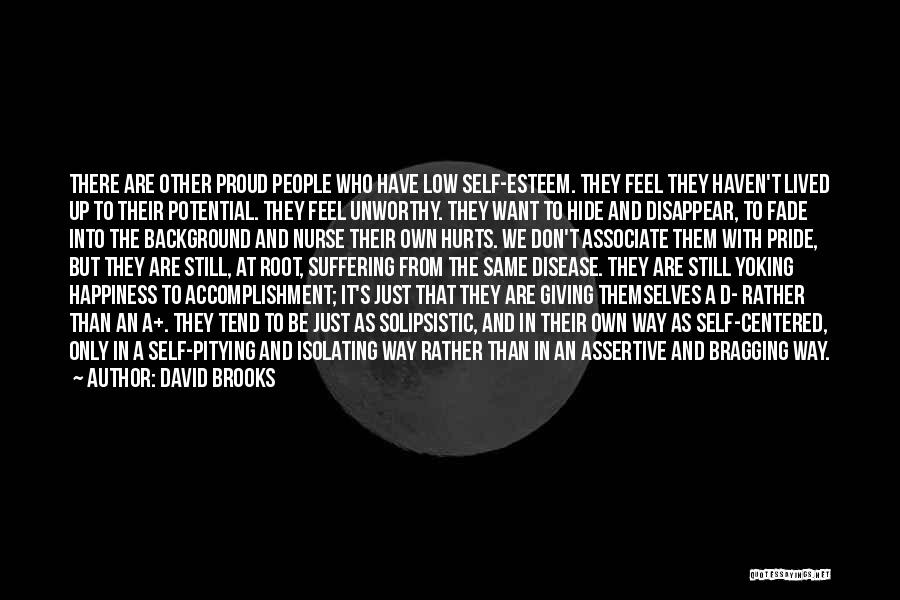 Proud Of Your Accomplishment Quotes By David Brooks