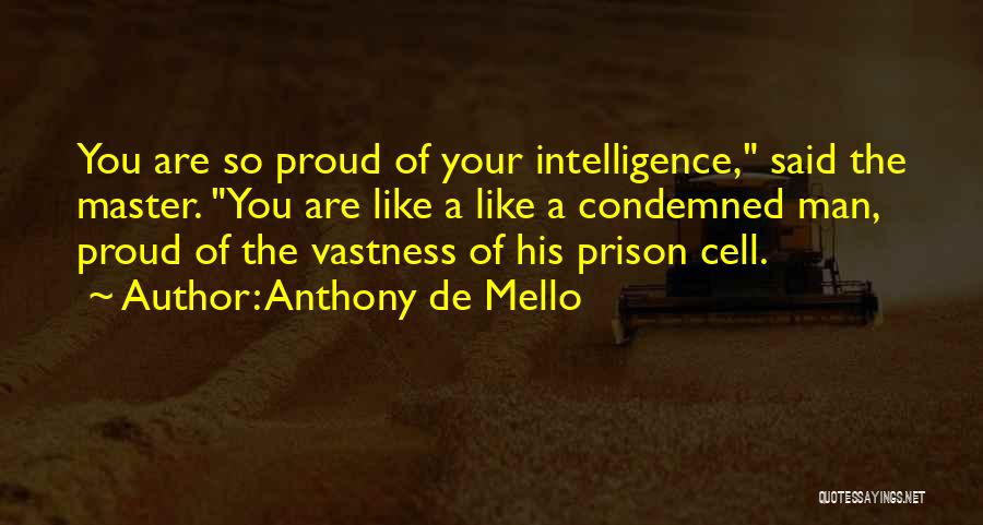 Proud Of Your Man Quotes By Anthony De Mello