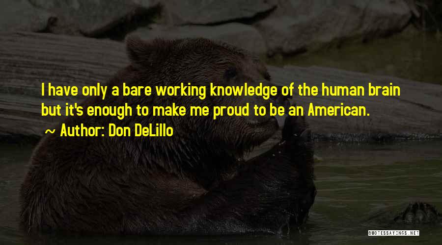 Proud To Be An American Quotes By Don DeLillo