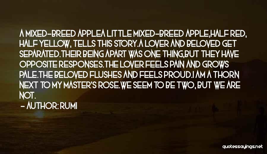 Proud To Be One Quotes By Rumi