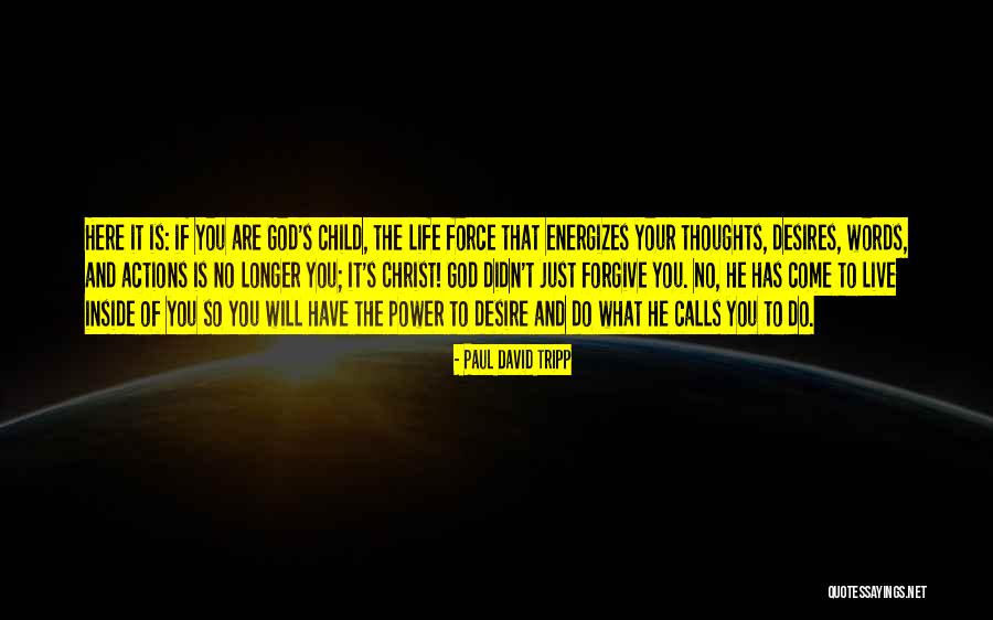 Provansa Quotes By Paul David Tripp Provansa Quotes By Paul David Tripp