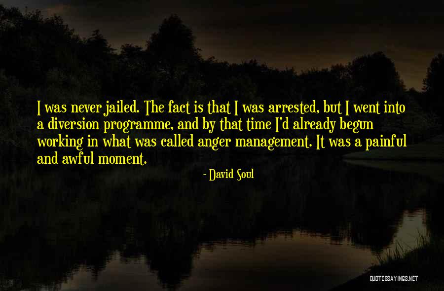 Provariant Quotes By David Soul Provariant Quotes By David Soul