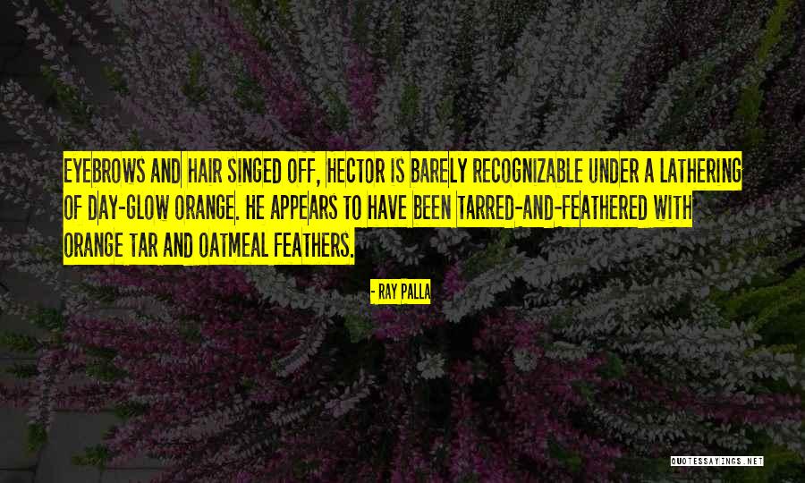 Provata Lyrics Quotes By Ray Palla Provata Lyrics Quotes By Ray Palla