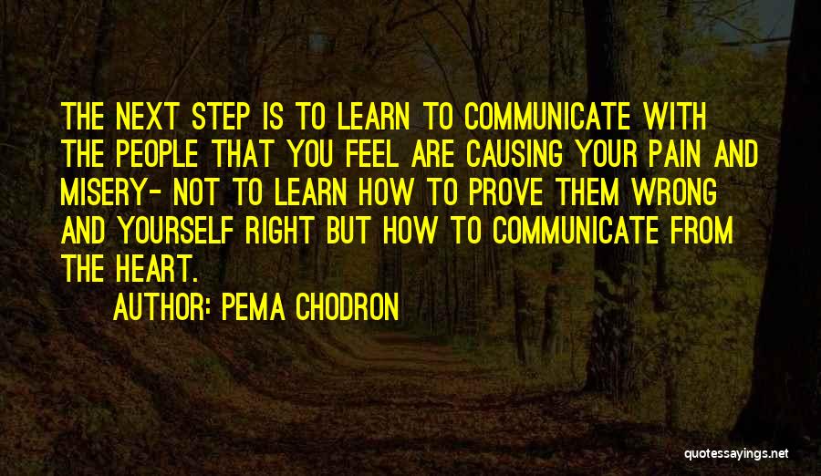 Prove Them Wrong Quotes By Pema Chodron